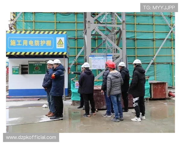 pock集团网址的安全性及访问保障措施解析