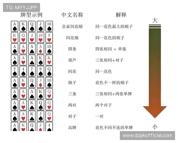国内德州扑克线上平台最新排名全面解析适合玩家选择的优质平台推荐